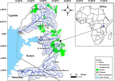 Assessment of the Ecological Health of Afrotropical Rivers Using Fish Assemblages: A Case Study of Selected Rivers in the Lake Victoria Basin, Kenya